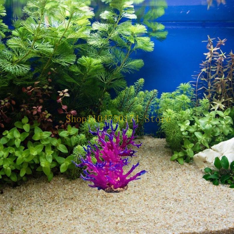 Yapay Ağaç Dekoratif Bitki Ren - Aquarium Plants For Sale incelemesi ve fiyatı