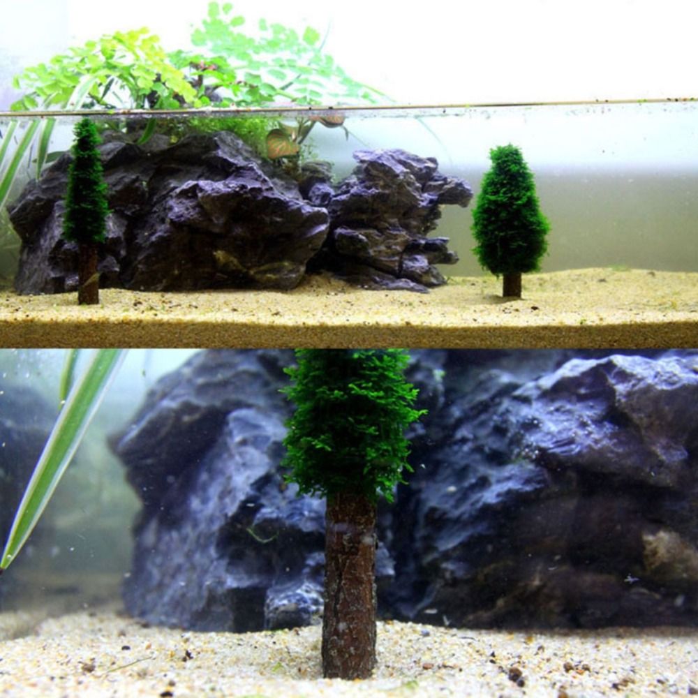Simülasyon Noel Ağacı Akvaryum - Aquarium Planted Background incelemesi ve fiyatı