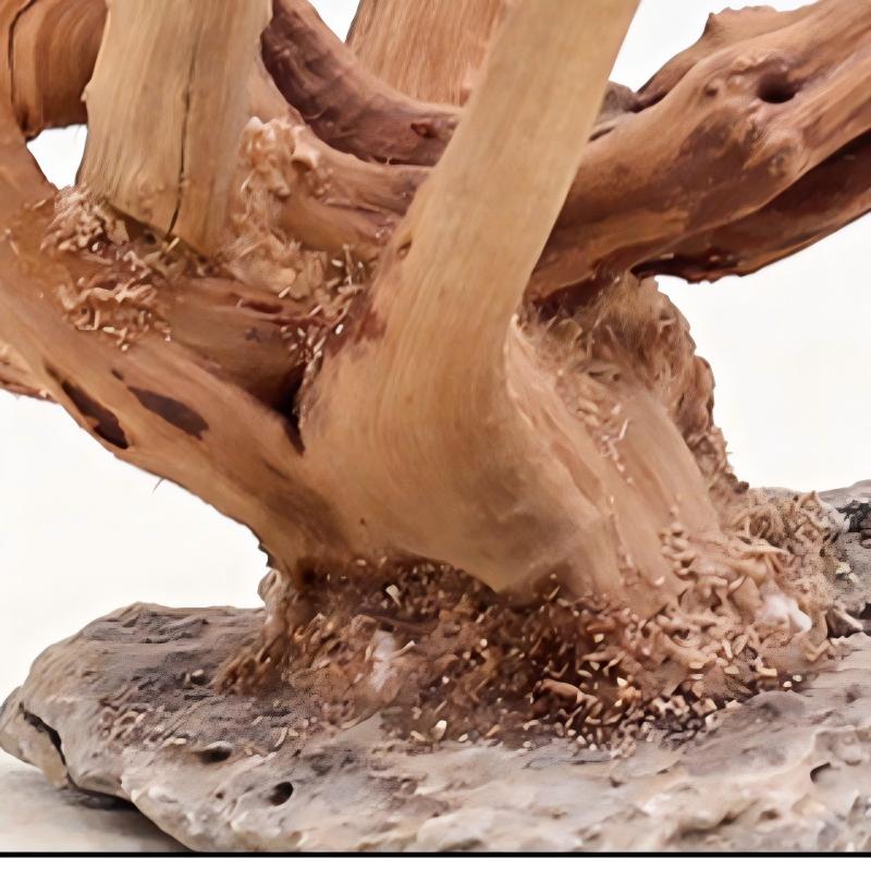 1 adet akvaryum peyzaj ahşap s - Aquarium Planted Soil incelemesi ve fiyatı