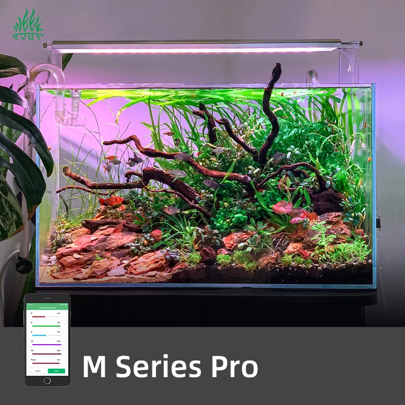 ZXY Çok Satanlar WEEK AQUA M12 - Aquarium Plants For Sale incelemesi ve fiyatı
