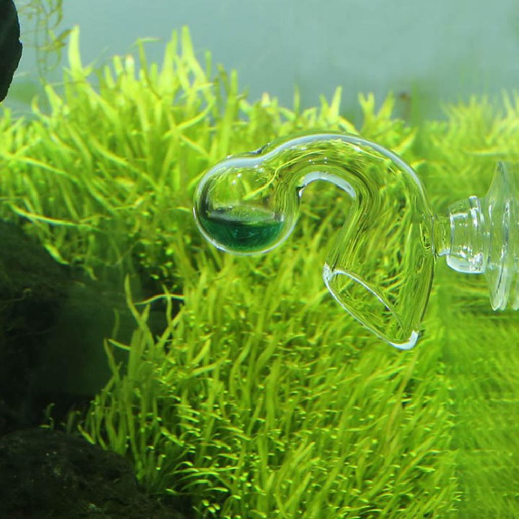 Akvaryum CO2 Monitörü Cam Daml - Glass Co2 Drop Checker incelemesi ve fiyatı