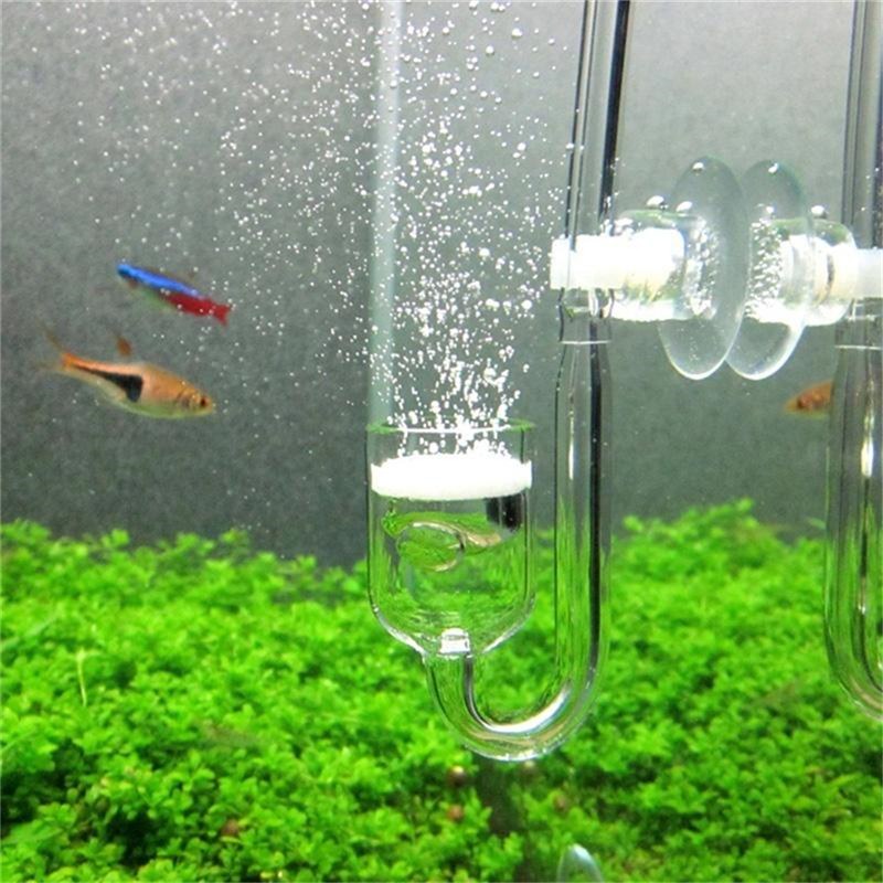 Mini Co2 Difüzörler Akrilik U- - Aquarium Planted Tank Substrate incelemesi ve fiyatı