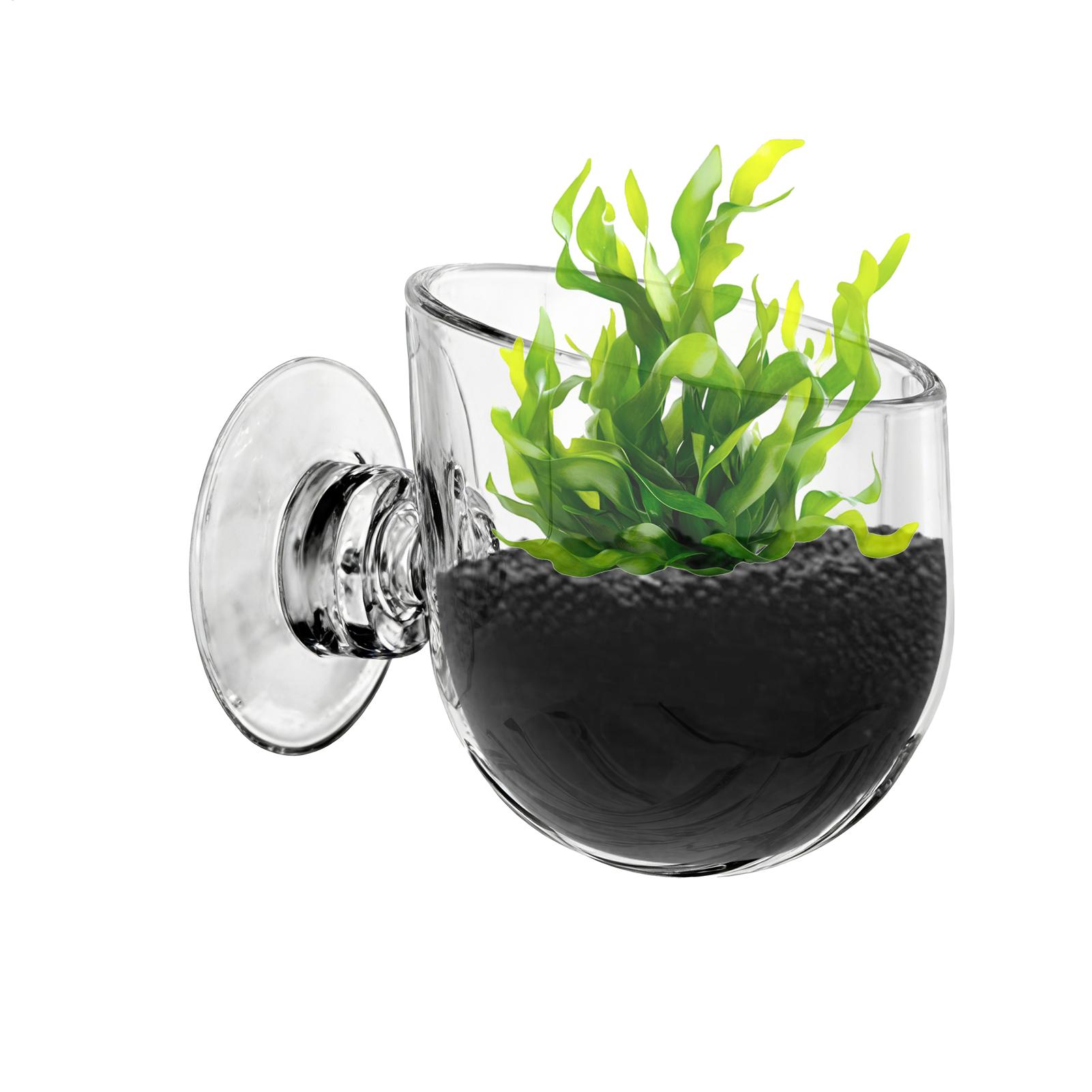 Akvaryum Bitki Tutucu Akrilik  - Aquarium Planted Background incelemesi ve fiyatı