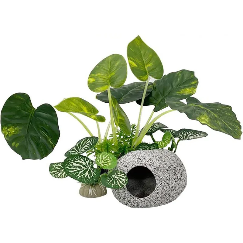 Küçük Sualtı Çim Akvaryum Balı - Aquarium Planted Background incelemesi ve fiyatı