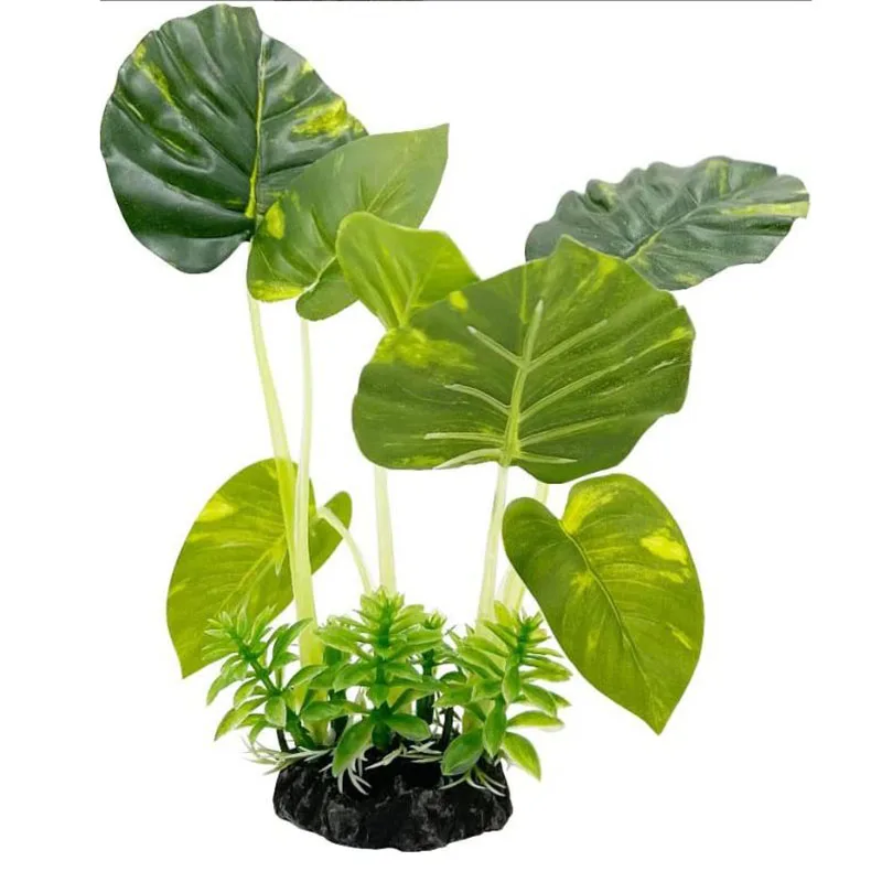 Küçük Sualtı Çim Akvaryum Balı - Aquarium Planted Background incelemesi ve fiyatı