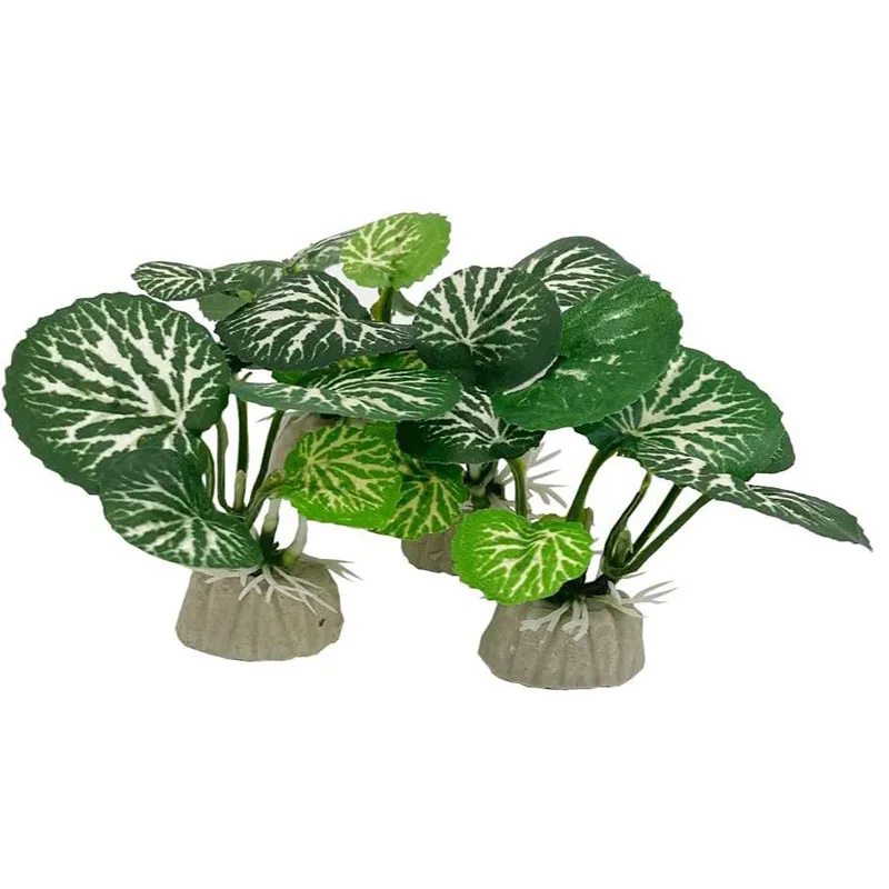 Küçük Sualtı Çim Akvaryum Balı - Aquarium Planted Background incelemesi ve fiyatı