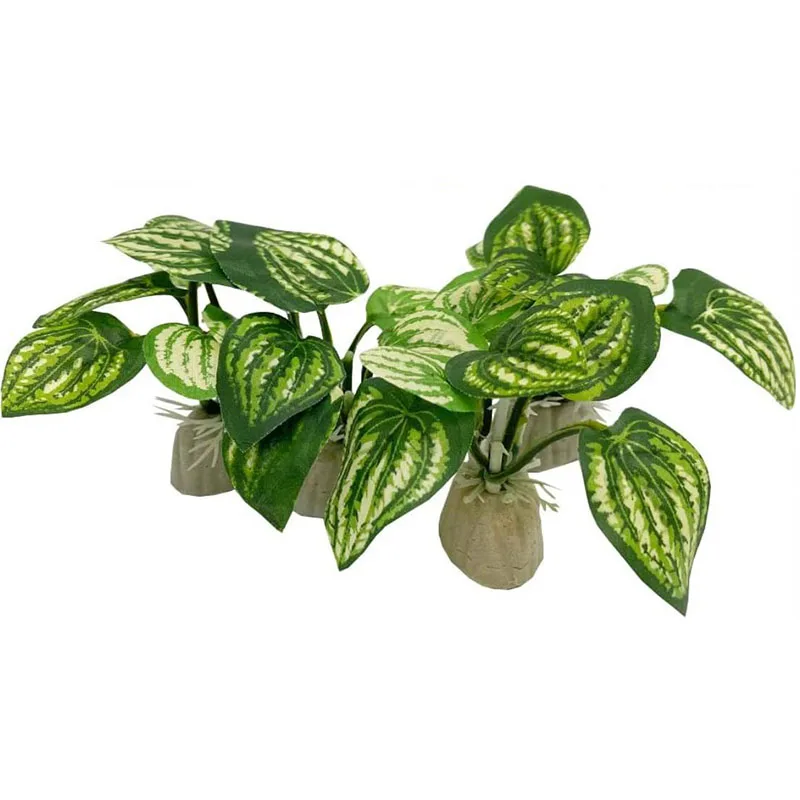 Küçük Sualtı Çim Akvaryum Balı - Aquarium Planted Background incelemesi ve fiyatı
