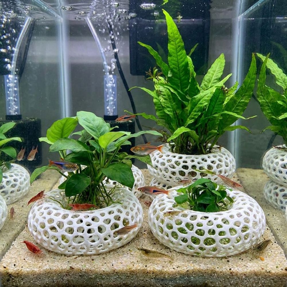 3D Baskılı Balık Karides Sakla - Planted Aquarium Moss incelemesi ve fiyatı