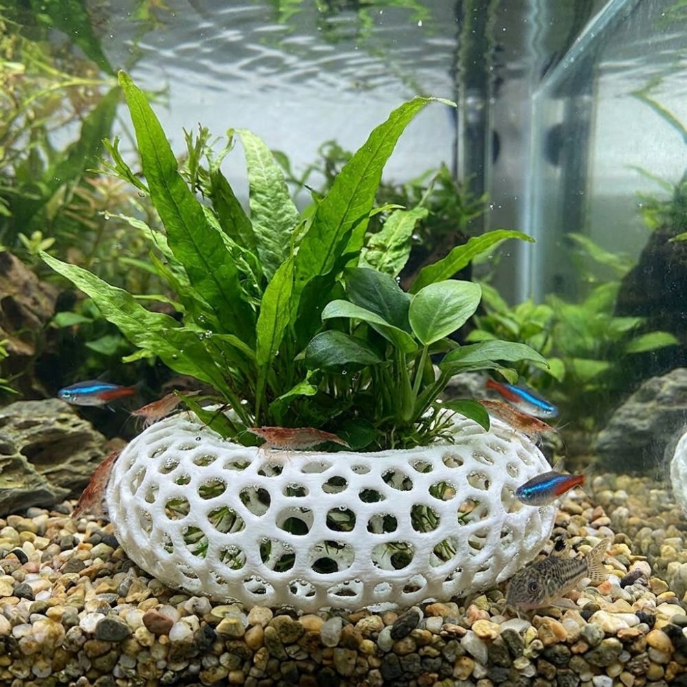 3D Baskılı Balık Karides Sakla - Planted Aquarium Moss incelemesi ve fiyatı
